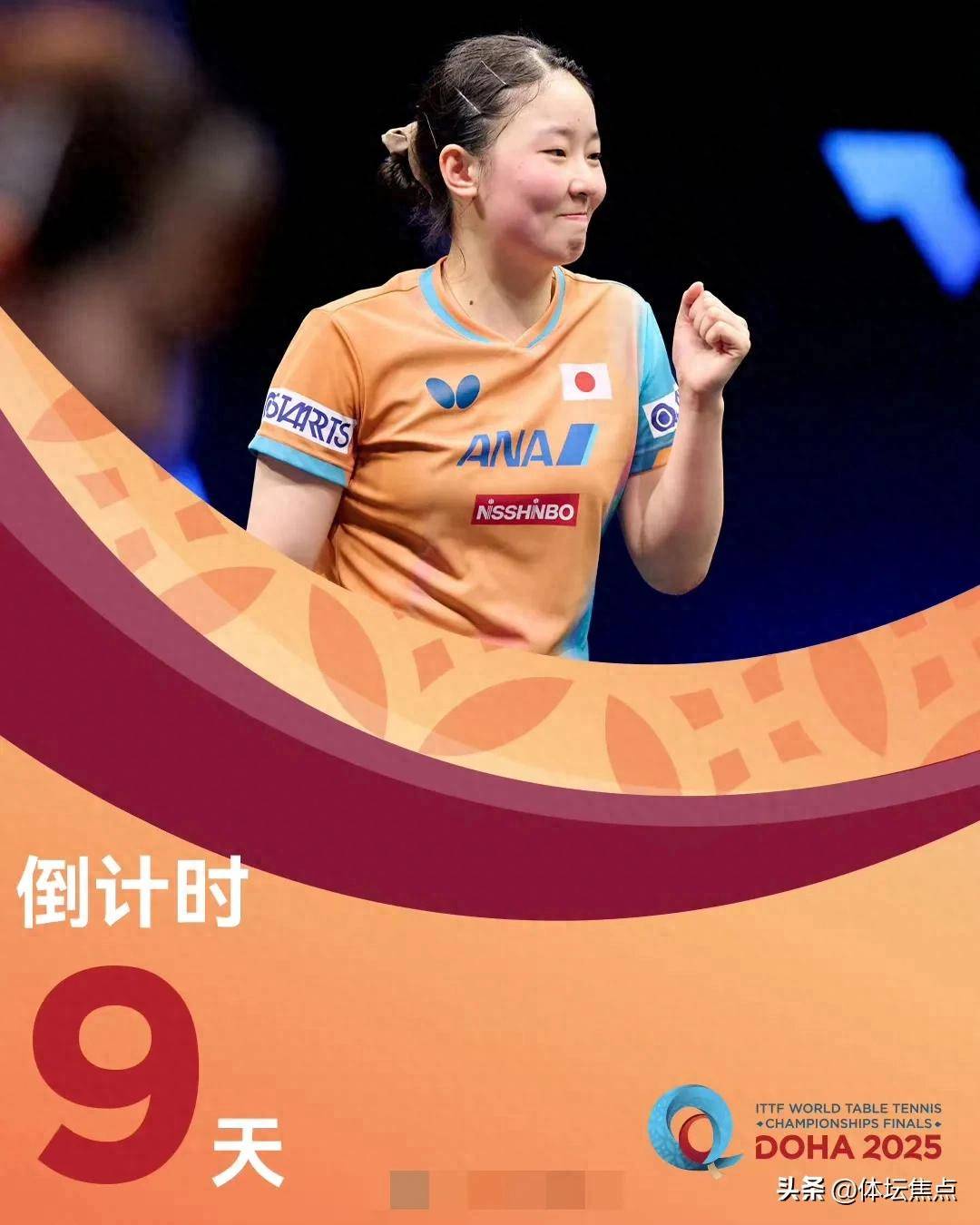 我们将解析 我们将解析