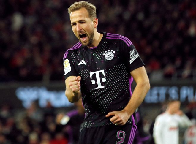 供了宝贵的 供了宝贵的