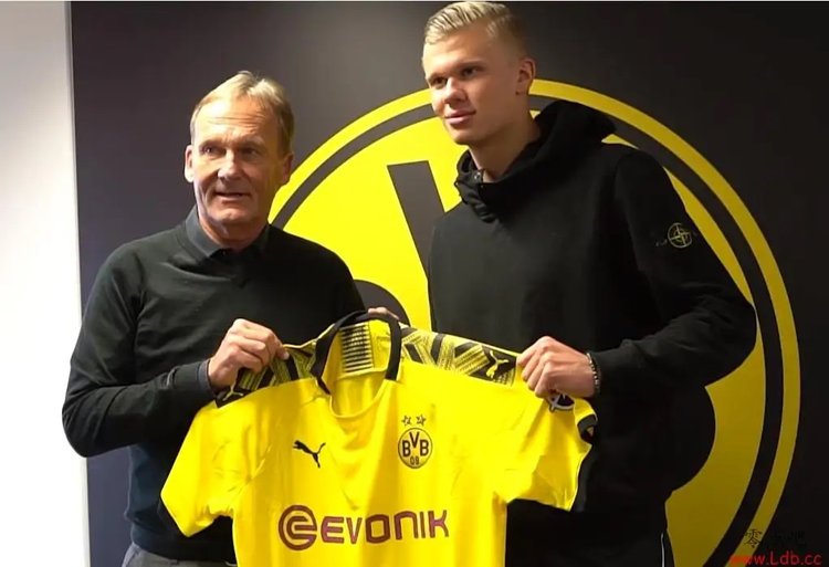 便被解读为 便被解读为