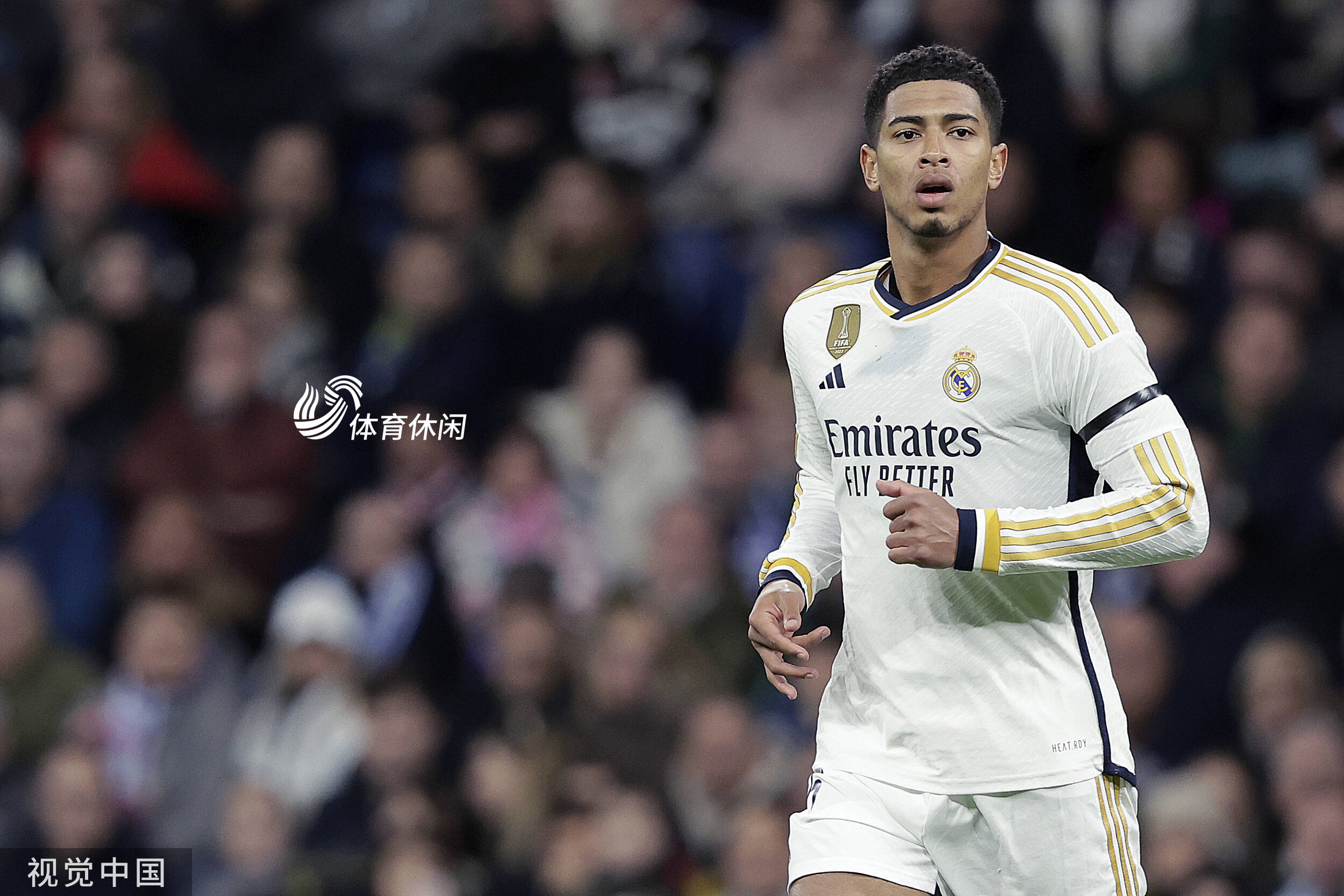 对上哈里森 对上哈里森